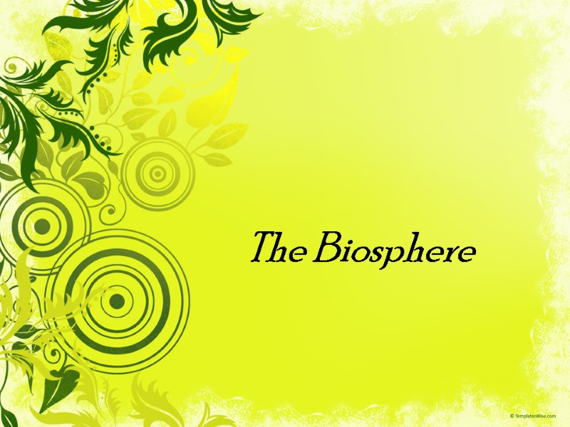 The Biosphere